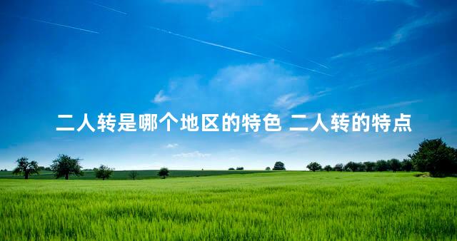 二人转是哪个地区的特色 二人转的特点